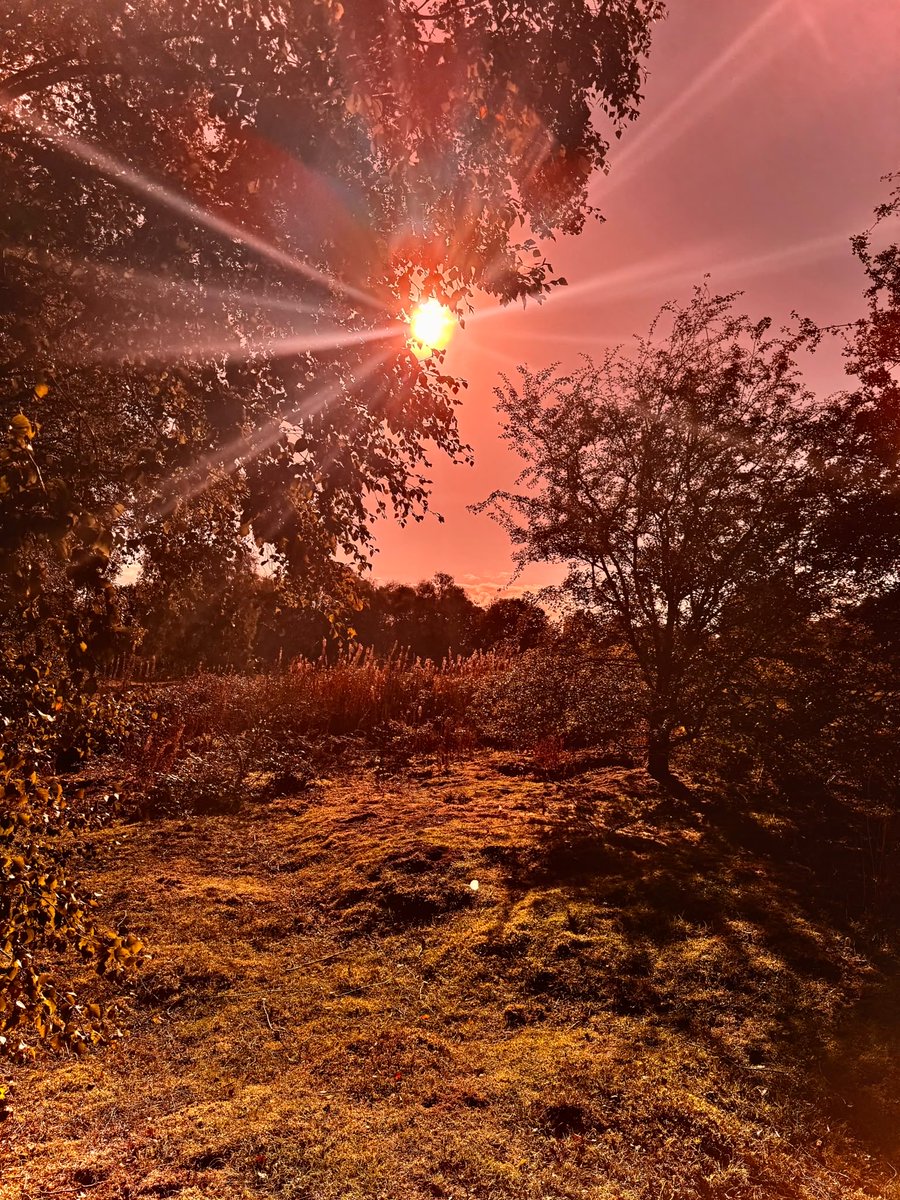 KateKnighting's tweet photo. #NHS1000miles 23 last week and 20 this week. Some enjoying yesterday’s sunshine at the local butterfly moss. Same walk but one photo through sunglasses by my daughter who is experimenting with photography. Looking forward to seeing everyone’s photos. Have a good week 😊 https://t.co/ReNfQhwPir