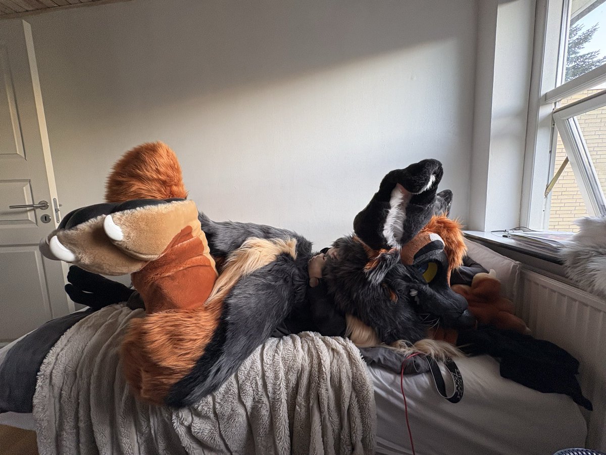 Flip_gshep's tweet photo. Hvem er den næste ≈ 🐕

#fursuit #furry https://t.co/WuQwwDLIfW