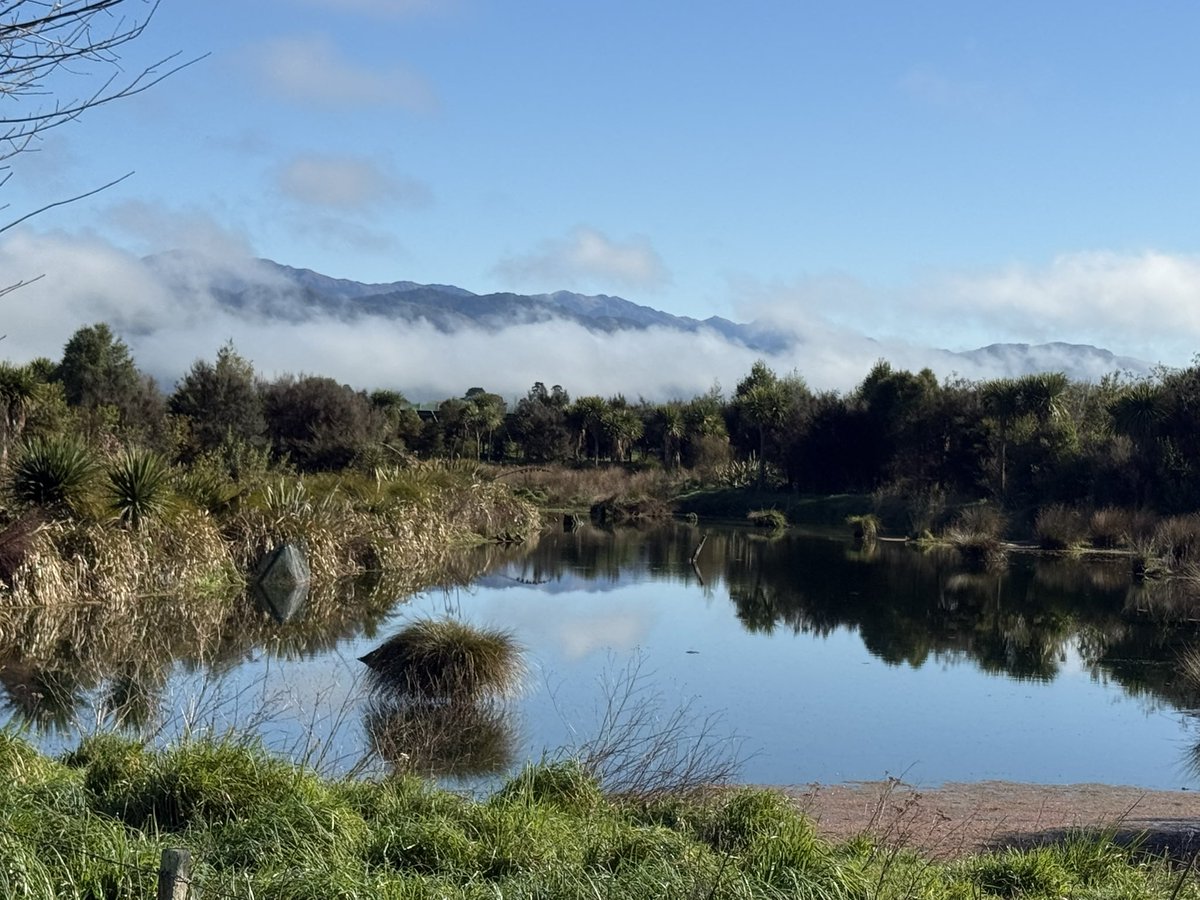 Trevor_FJ's tweet photo. Foggy start to the day at the orchard here in Wairarapa NZ. Then it burnt off by 9am as the sun came up, leaving just a little low lying fog in the lee the foothills, beautiful but cold day. Still a little snow on the high Tararua ranges.
#Springtime #orchard #Wairarapa #Aotearoa https://t.co/RZ72BCU6ul