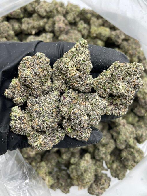 SiljjaH's tweet photo. Weed plug in Bury St Edmunds Weed plug in Caernarfon Weed plug in Cambridge Weed plug in Canterbury Weed plug in Cardiff Weed plug in Carlisle Weed plug in Carmarthen Weed plug in Carrickfergus Weed plug in Chatham Weed plug in Chelmsford Weed plug in Cheltenham Weed in Chester https://t.co/rO5h9regNx