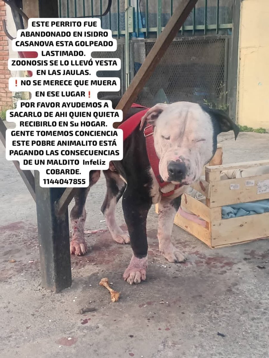 patripeyrou's tweet photo. Rt
Difundimos https://t.co/INb1KoksfA