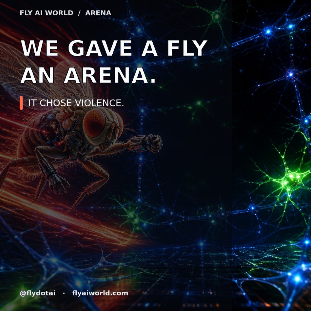 wordecker's tweet photo. Why bullish on @flydotai ? Here some thread you should know about $FLYAI 🔽 https://t.co/qjEgI4e8oa