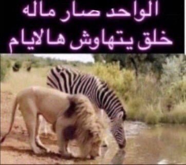 dictatorisma's tweet photo. @elbashamikhail prolly no one https://t.co/e6OVraSdOC