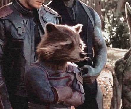 thedykeparade's tweet photo. el hecho de que rocket se ve genuinamente triste en la escena del funeral de tony es tan importante para mi😢 son #familia trust me https://t.co/27Met2fXkq