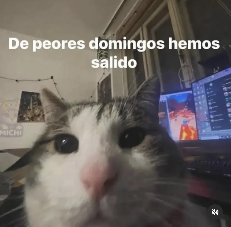 MayteAntun's tweet photo. Ánimo https://t.co/e7qfy7DABO
