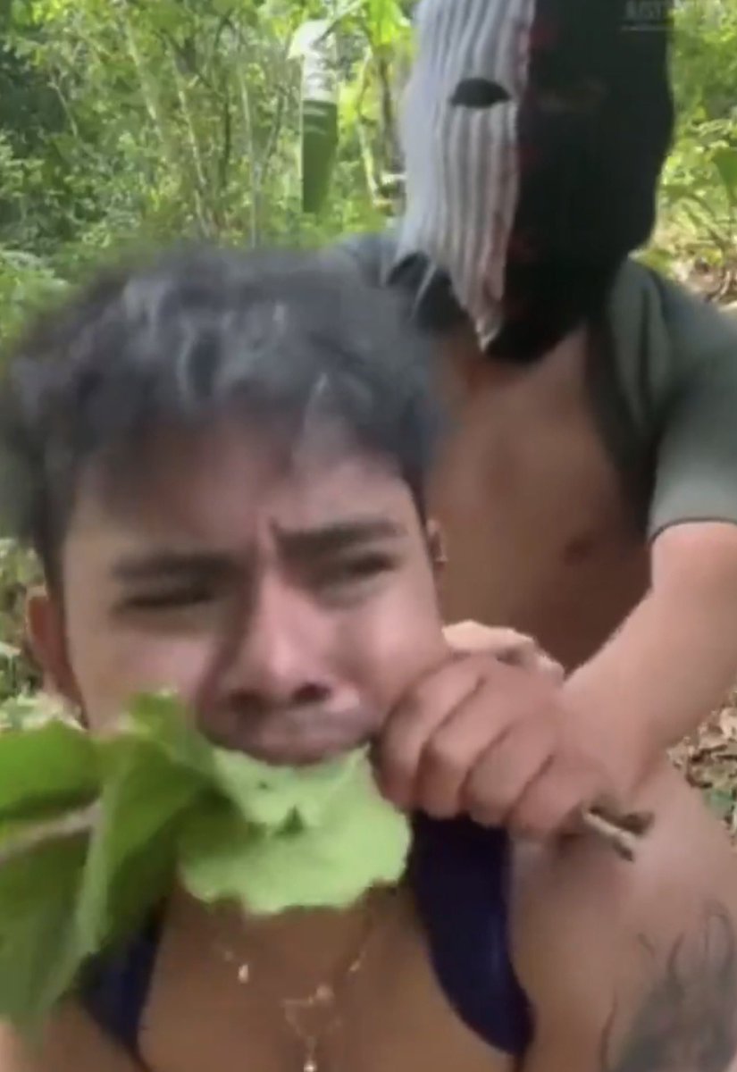 LudwigUrie's tweet photo. I swear if i’m gonna be a fitness coach this is how I’m gonna force you to eat your greens https://t.co/c2OjNTIOyl