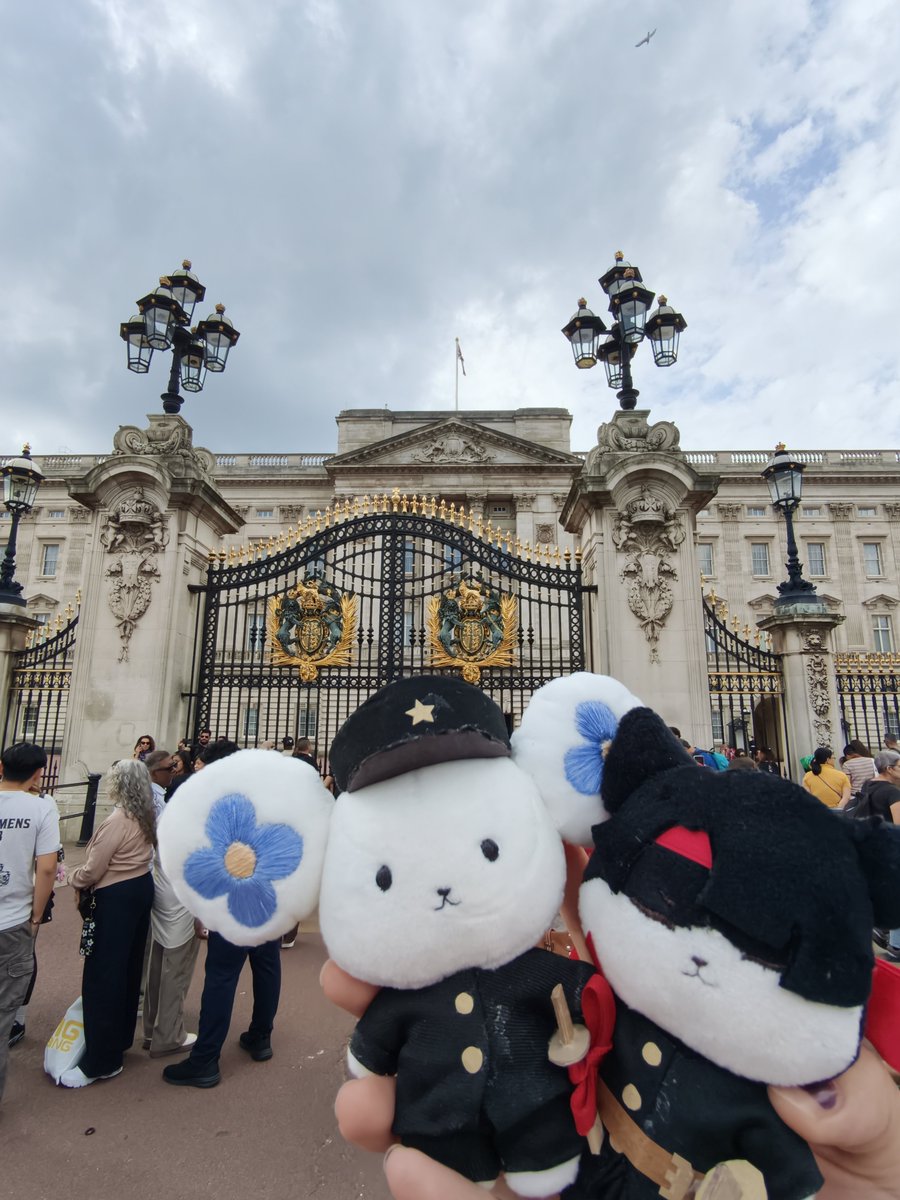fishromances's tweet photo. pawtners tearing up the streets of london! https://t.co/0AU1NmhGyu
