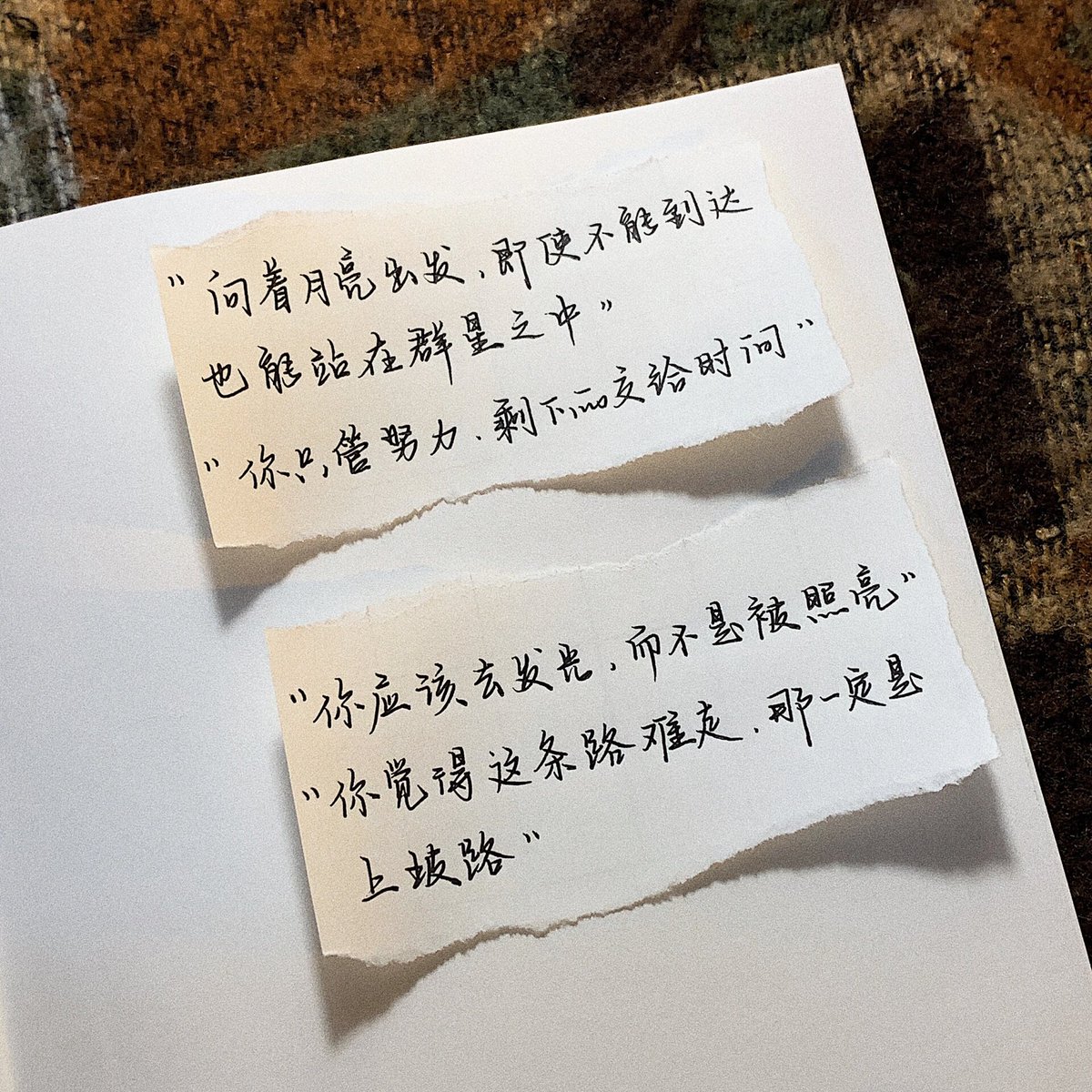 MariBanwarth's tweet photo. New semester vibes are here! Fresh notebooks, eager minds, and a whole new chapter of growth ahead. Let’s chase small wins and big dreams this term , https://t.co/HEAZ4kus6F