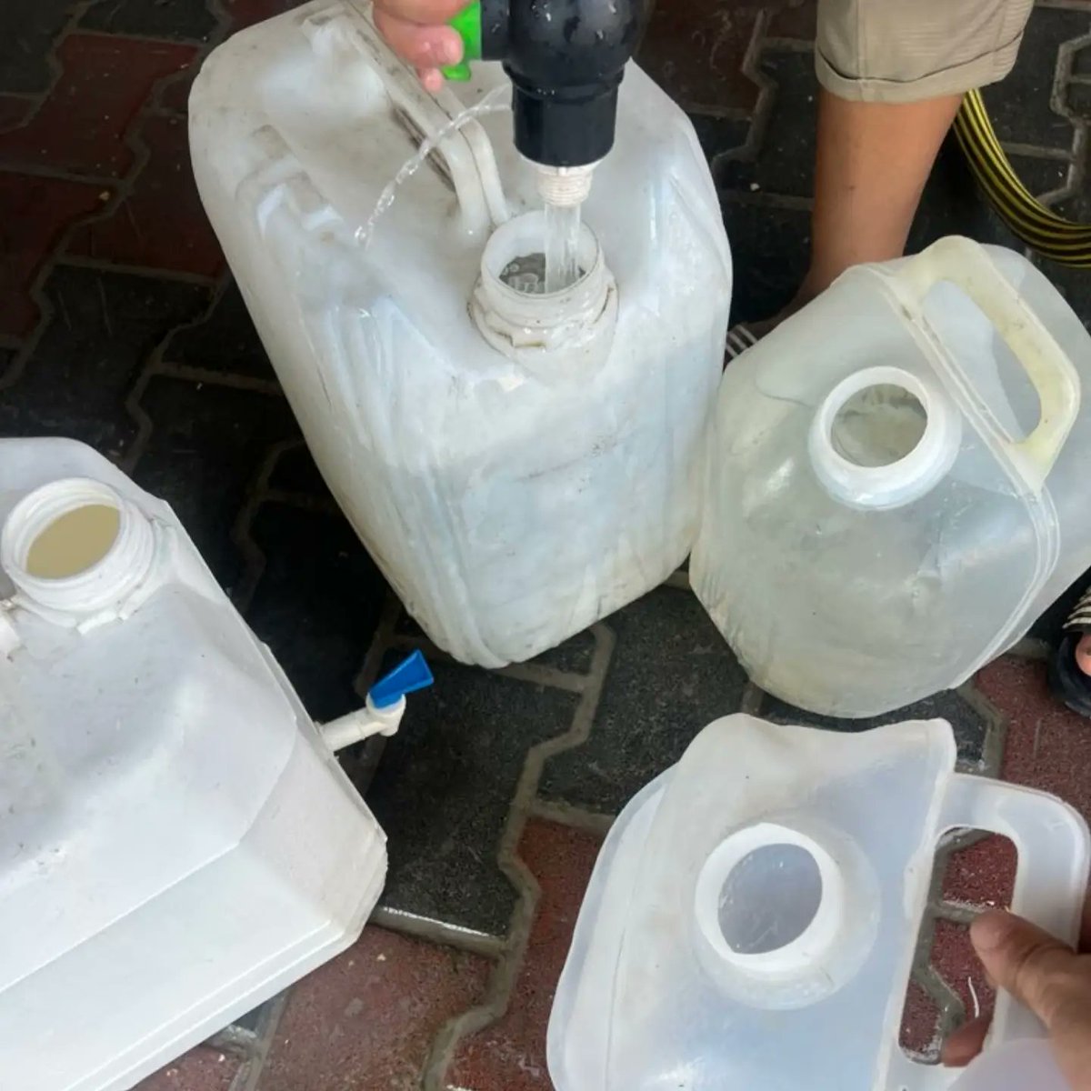 leahrobertseeew's tweet photo. We’re facing a water shortage. Today, I walked nearly 16 km to the water truck and waited in an unimaginably long line. Still, we must be there for the shelter and the animals who rely entirely on us to survive. https://t.co/ZmUWQkiiUN
