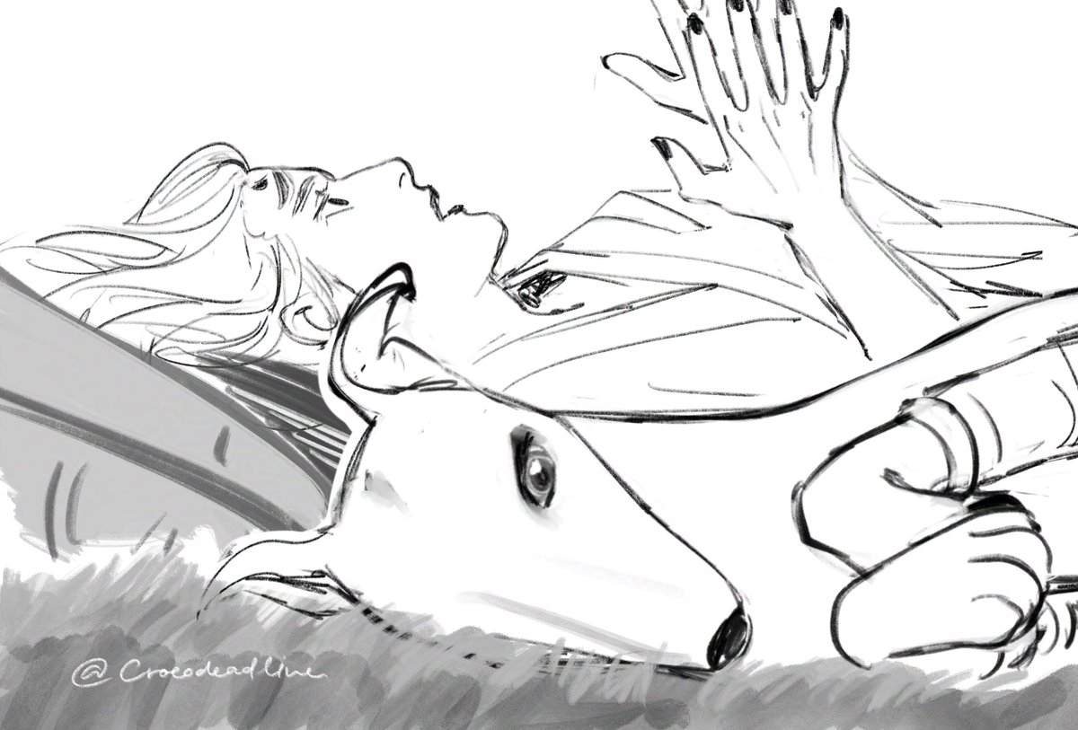 crocodeadline tweet picture