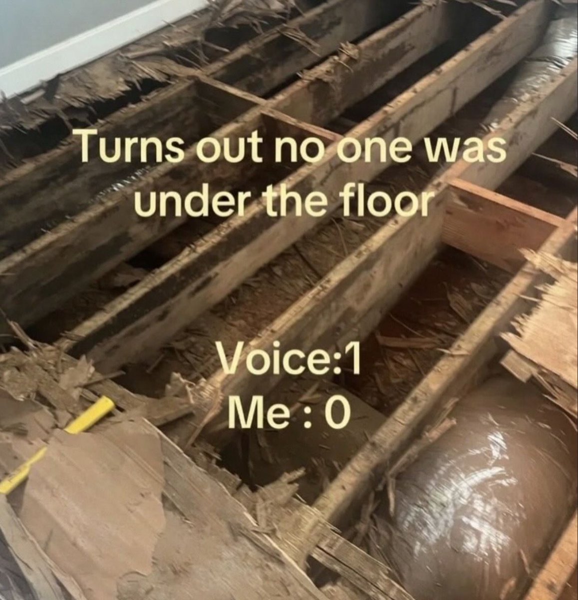 nocontextmemes's tweet photo. https://t.co/TL08wNf6k5