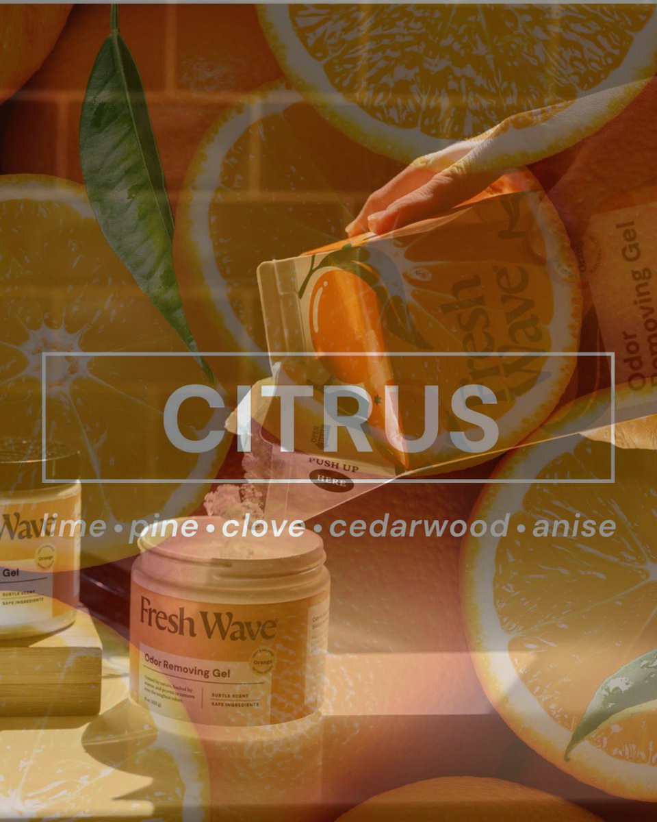 fresh_wave's tweet photo. Fresh Wave Odor Removing Gel in Orange: Made with Ingredients you CAN Pronounce! 

#odorremover #cleanscent #nontoxicclean #homecleaning #naturalcleaning https://t.co/IPaDPxCR3T