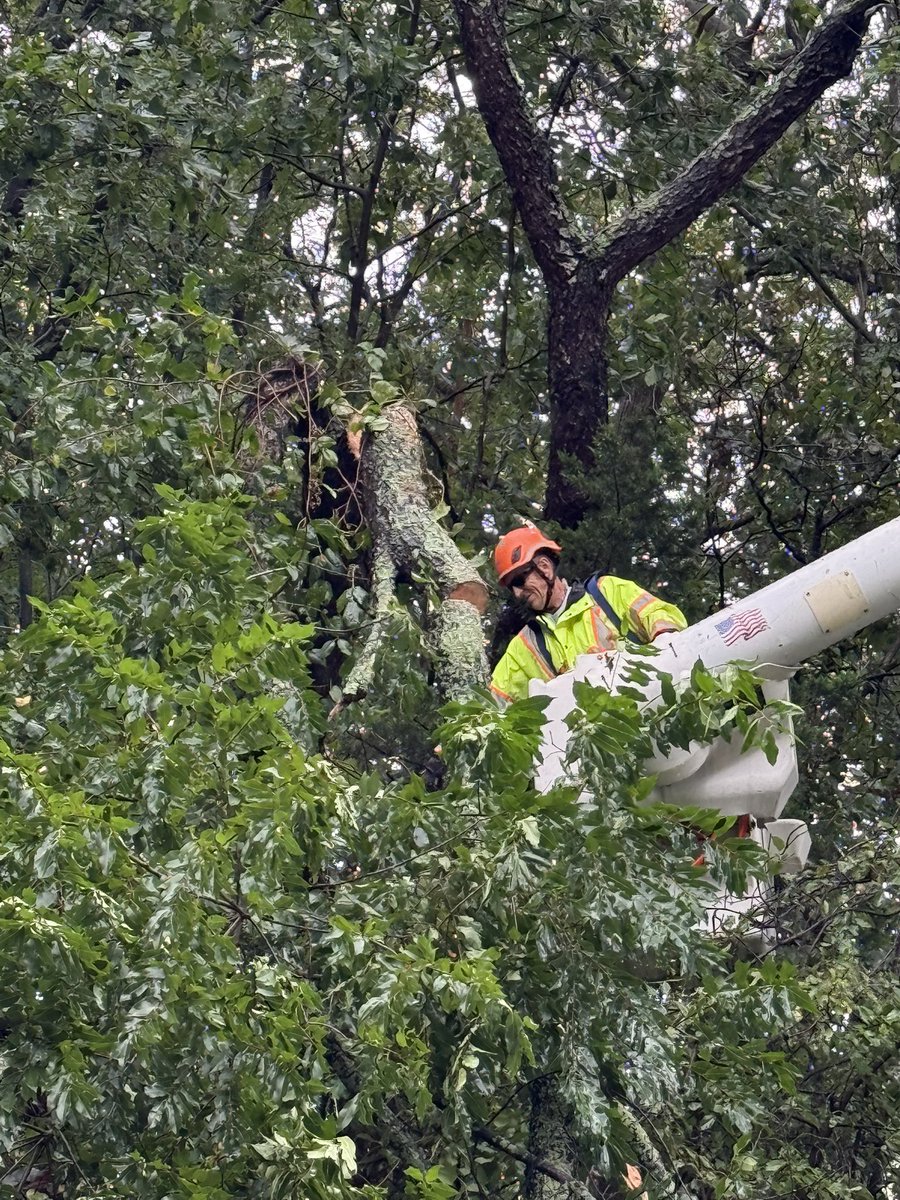 nysdotli's tweet photo. Sunday, Sunday, Sunday! 
We’re still in the nor’easter. Crews were on the Sunken Meadow Parkway clearing more tree debris from the road. https://t.co/jXmdJPB2VT