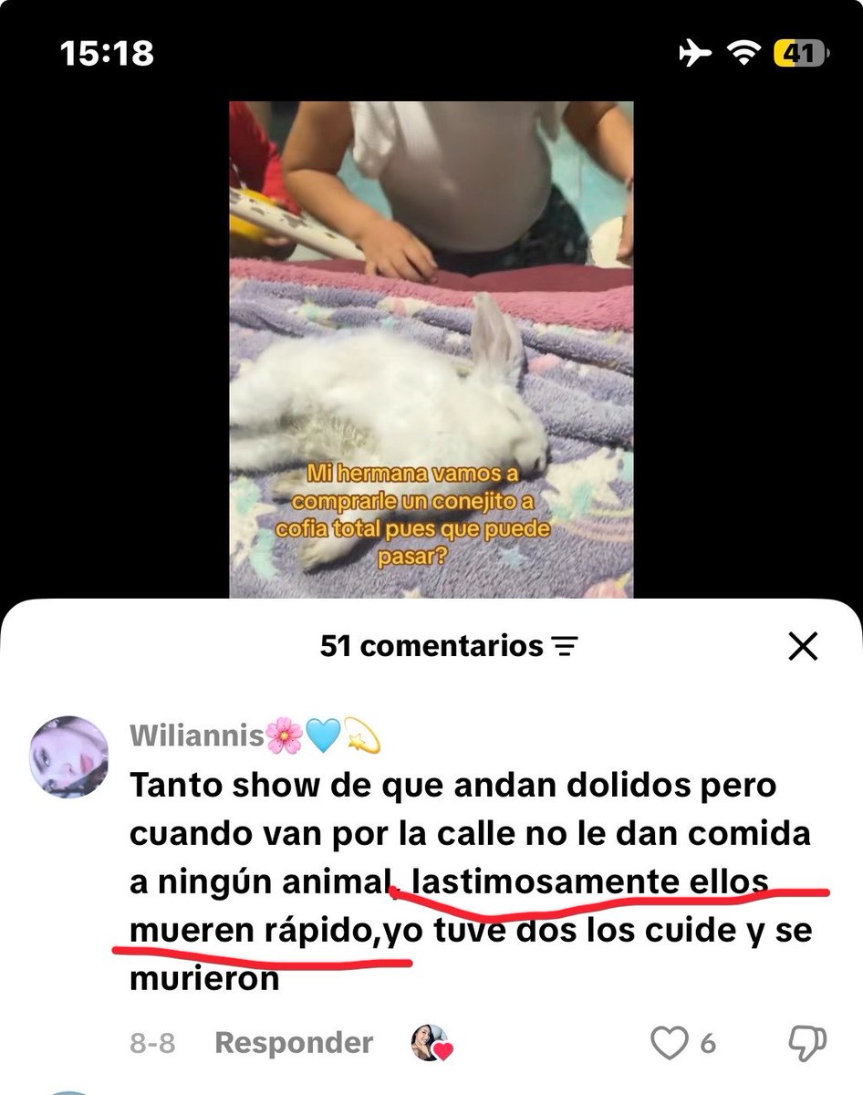 canelasangrando's tweet photo. acabo de encontrarme este video en tik tok donde a esta mujer le causa gracia que su hermana le haya matad0 a su conejito y de paso vi un comentario tan estúpido "ellos mueren rápido" su periodo de vida es desde los 8 a 12 años.
LOS ANIMALES NO SON JUGUETES, SON SERES SINTIENTES! https://t.co/f0O3KktIev
