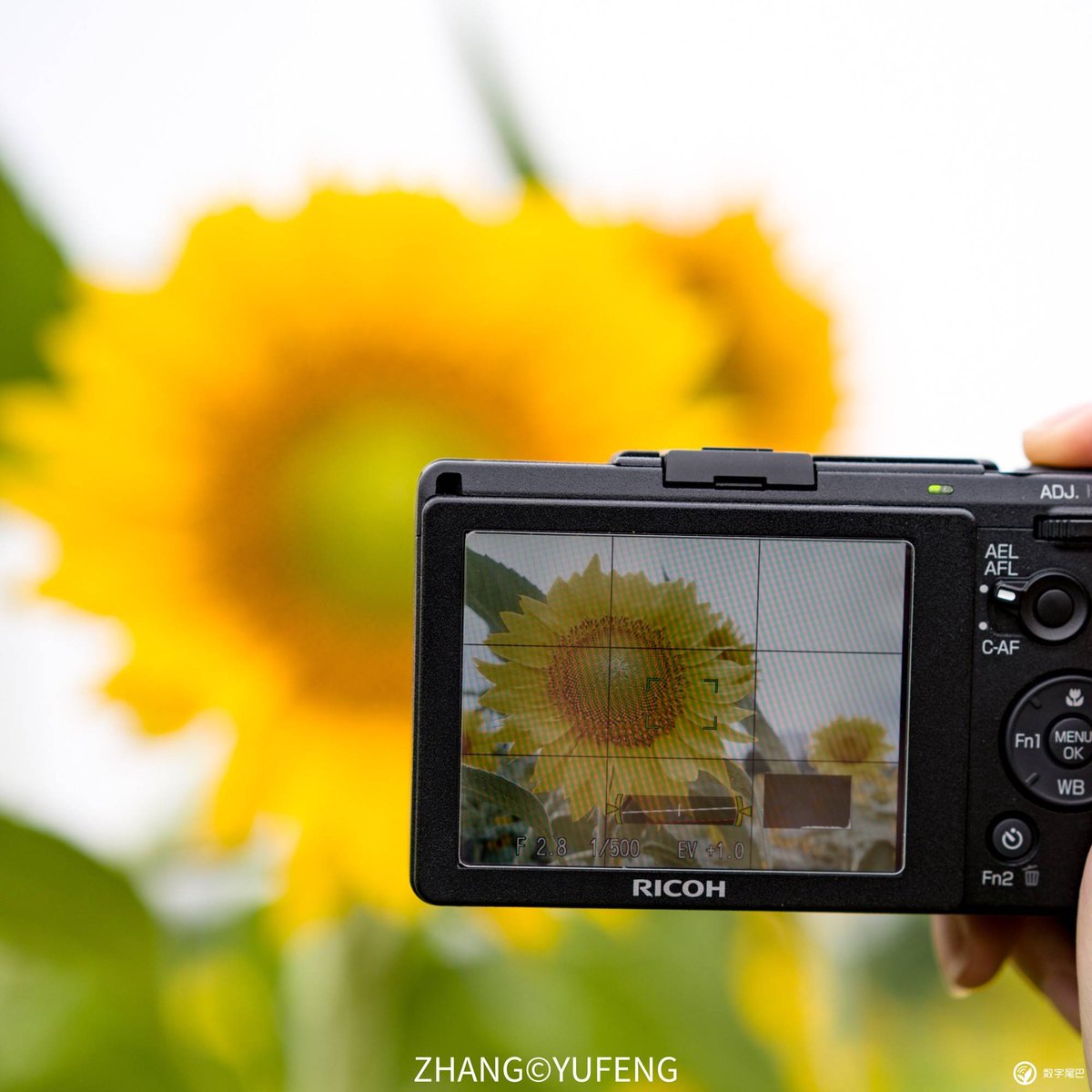 LavonnaHiguy's tweet photo. Guía básica de fotografía para principiantes: Ajusta primero la apertura y el ISO antes de disparar, tus primeras fotos serán mucho mejores! https://t.co/pU7FPUCFCy
