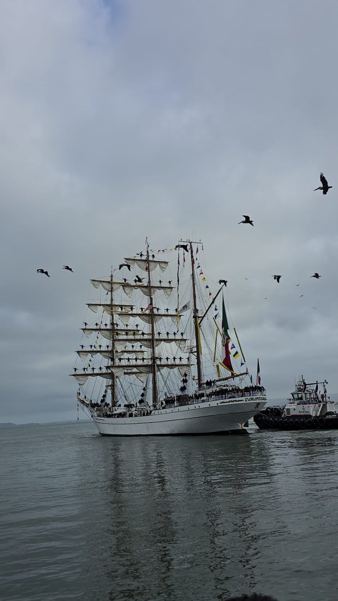 ConsulmexSFO's tweet photo. 🇲🇽 Con mariachi y mucha emoción, la comunidad mexicana en San Francisco despidió al Buque Escuela ARM Cuauhtémoc, que continúa su travesía como Embajador y Caballero de los Mares. ⚓️

¡Buen viento y buena mar! 🇲🇽 https://t.co/dFVMW8BT5f