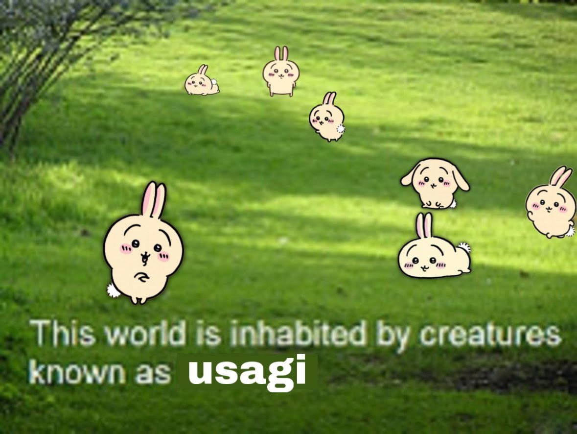 usagidarabbit's tweet photo. https://t.co/PWPU8ENEVv