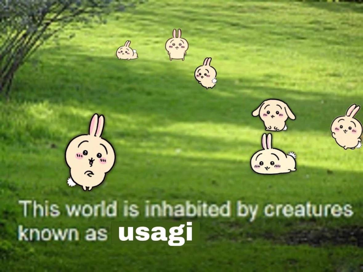 usagi on X / X