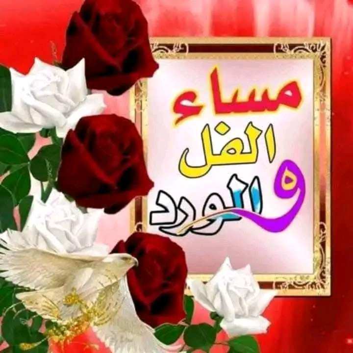 ImadBahja1's tweet photo. @GwSWt7POqm8J2mu https://t.co/Sh1Hn2XgOU
