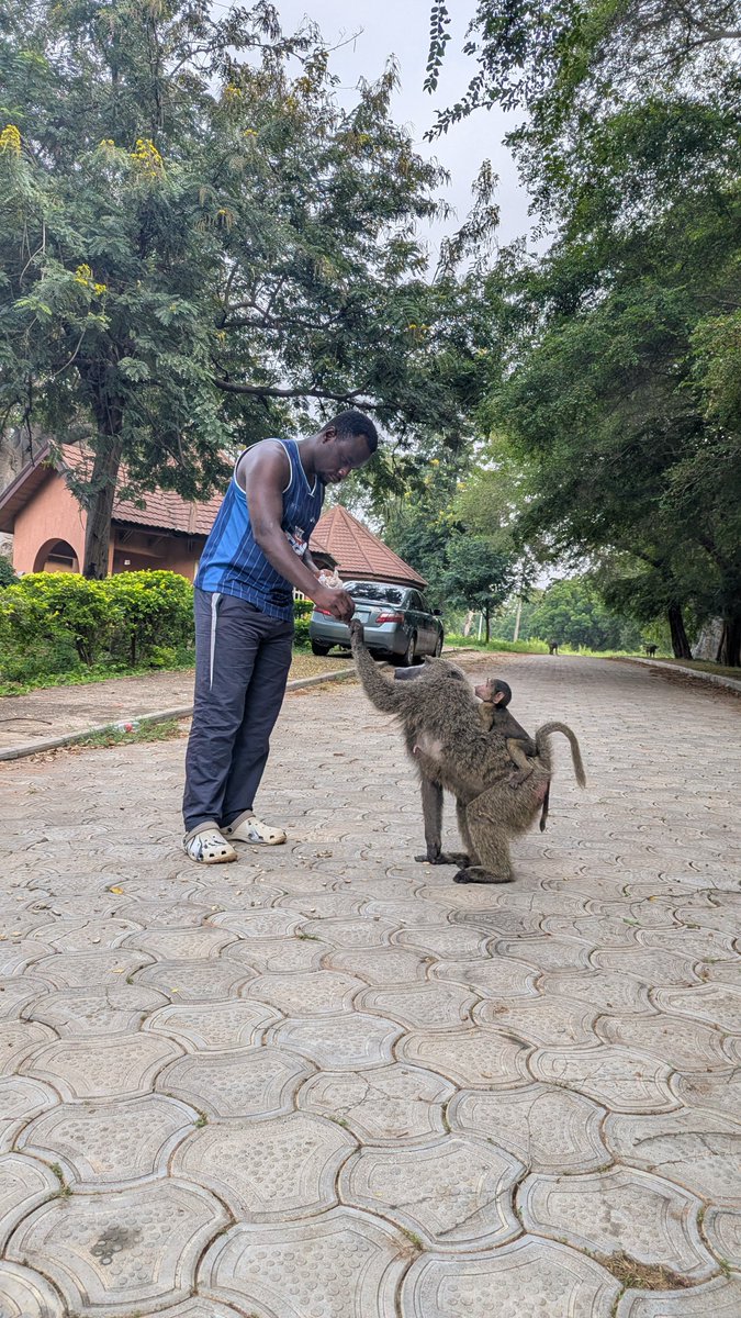 IamSocialMallam's tweet photo. Spent my weekend in  Bauchi Yankari.
Fresh air, nature, adventure and memories!
 #LetsRoamWithSocialMallam https://t.co/MvXKMpTJtF