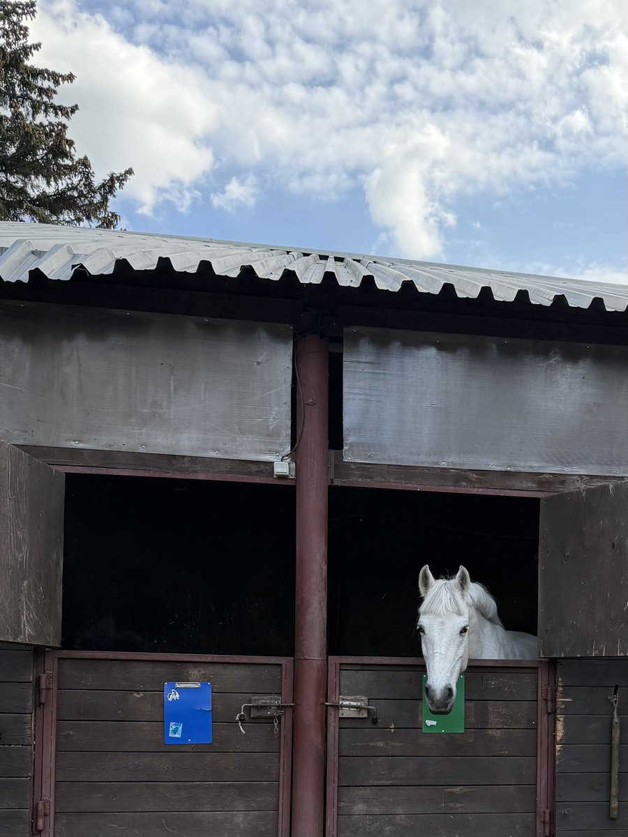 polyanator's tweet photo. Every weekend 🏇 https://t.co/dWNpon5W5k