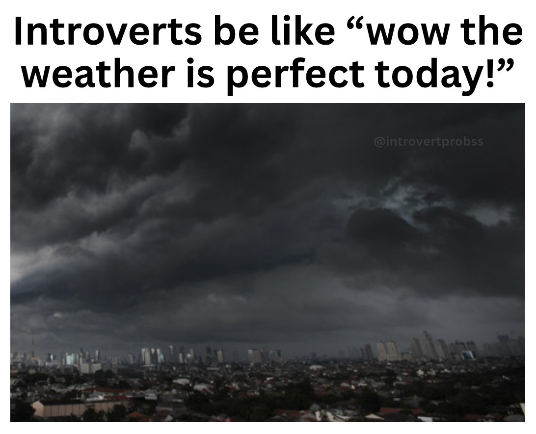 IntrovertApparl's tweet photo. https://t.co/DWFY7gCPgn