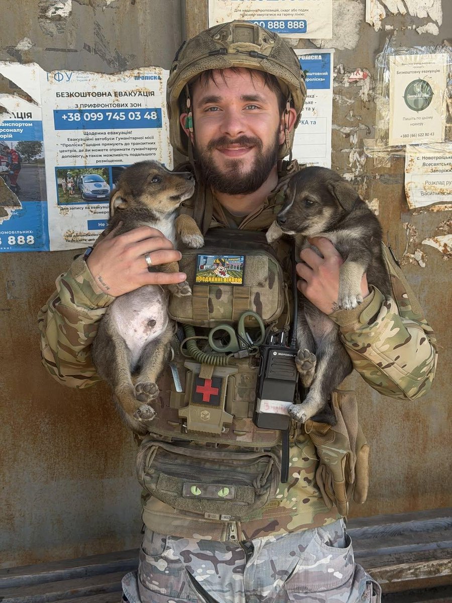 Gerashchenko_en's tweet photo. A Ukrainian combat medic brought two puppies to safety from a dangerous area at the front.

"I promised them, 'I’ll get you out,' in a place where promises usually shouldn’t be made. I kept my promise - the tsutsypatsi (his cute way of saying 'puppies') are safe," he wrote.

📹: vitsikkkk / Threads