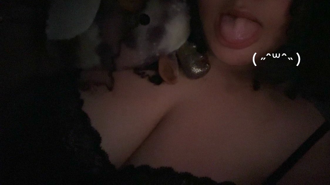 delicatekittyy's tweet photo. owaah how is everyone’s meowning (∩˃ω˂∩)! https://t.co/LhBRXiIfQU