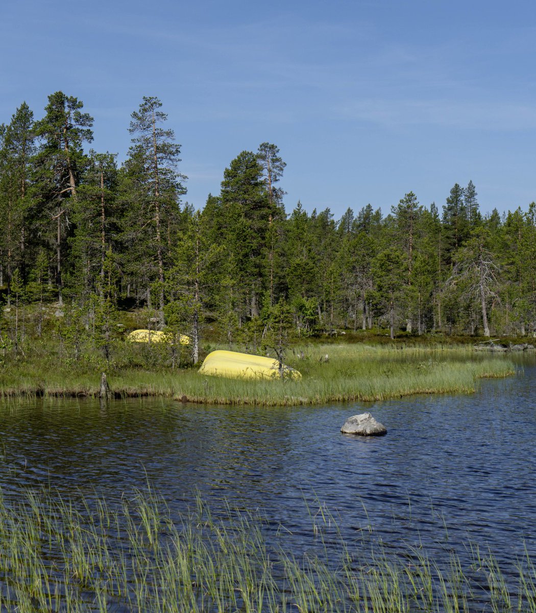 pubity's tweet photo. Palantir CEO Alex Karp has purchased a 15,000 hectare forest in Sweden, claiming he cares about the "beauty of the land and its preservation." https://t.co/uZPaZMEpk2