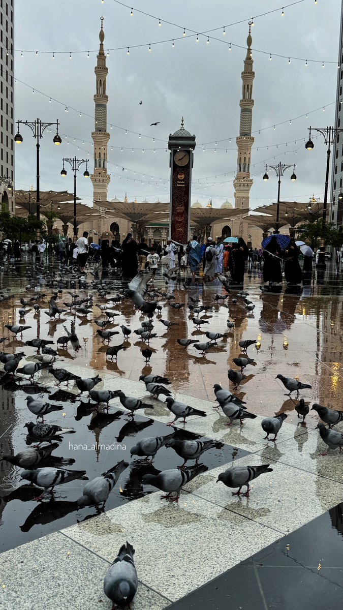hana_almadina's tweet photo. طيبه التي تطيب بها القلوب ❤️ https://t.co/l9oNG3sd1N