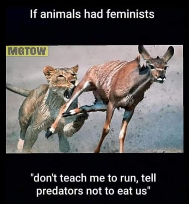 Maya_chamar's tweet photo. Chachijaan, none teaches theie children to r@pe and molest, similarly none can teach their children to not r@pe and molest.

None is asking girls to stay indoors except the males of your desert Barbarian Cult who keeps girls inside the four walls and also inside the black tent (burkha). But everyone is responsible for their own safety. If u behave recklessly, u deserve your fate. Better safe than sorry. Why bring gender into this? Even tall, strong males should not walk on downtown streets in the night. Why tempt fate? 
'आ बैल मुझे मार'
