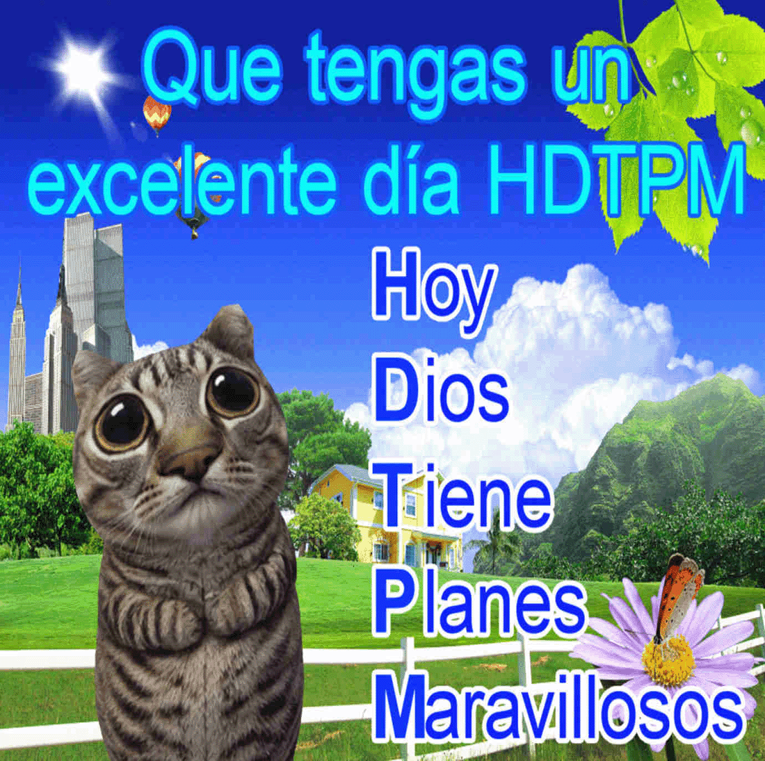 Lorenzo_Sol_'s tweet photo. @RiccoRosas https://t.co/mZGUwHdf2K