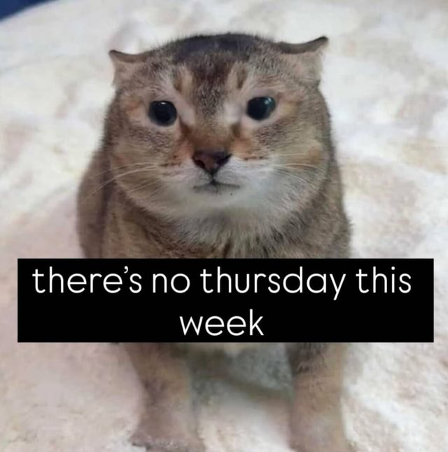 NemiFox's tweet photo. @swagsauce95 https://t.co/92X0XW4gr0