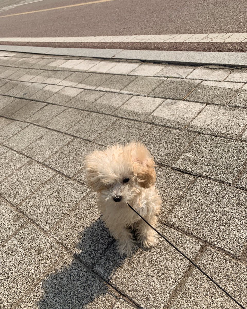 patrickmaffini1's tweet photo. みんなの今一番おすすめの映画やアニメは何ですか？教えて。ふとそんなことを考えた。 👊🔥
Urzb https://t.co/QOyH71u3oQ