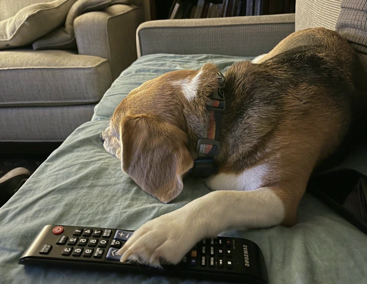 RyanRiverar9p's tweet photo. Channel surfer..
#CuteMoments #Heartwarming https://t.co/pa08Oq9f5i