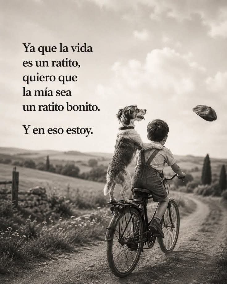 Nereura9's tweet photo. https://t.co/w5mg7DzlW4