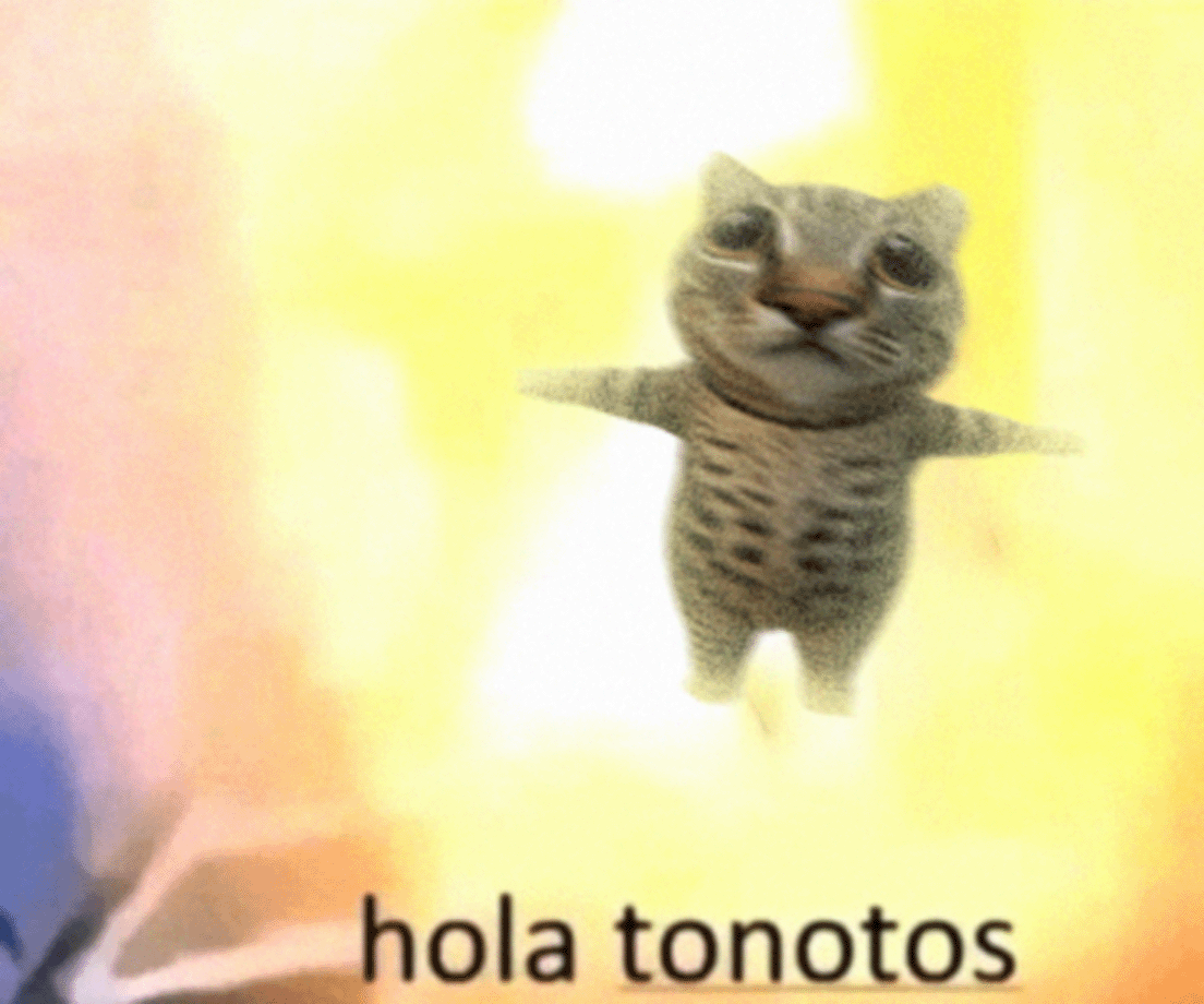 Lorenzo_Sol_'s tweet photo. cat supercycle incoming https://t.co/fqesnSjgWu