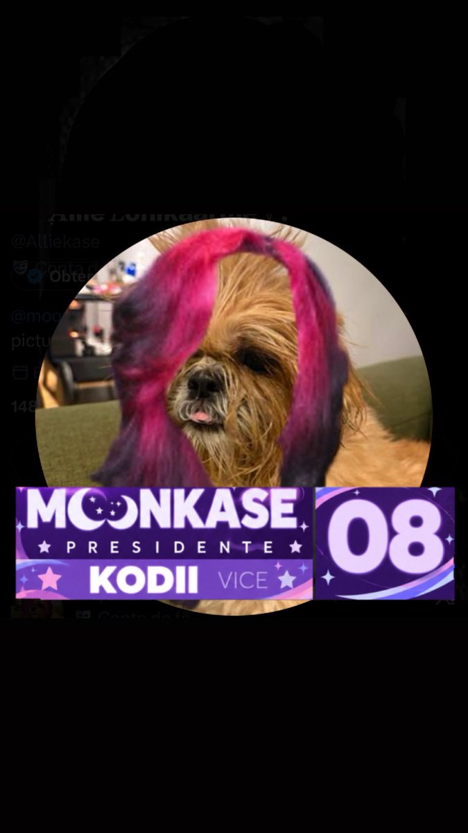 Alliekase's tweet photo. BORA!!
TRUPE DOS PARASOCIAIS MOONKISTICOS!!!

VOTE MOONKASE 08

#Moonsidenta https://t.co/Yxl8L54Rmn