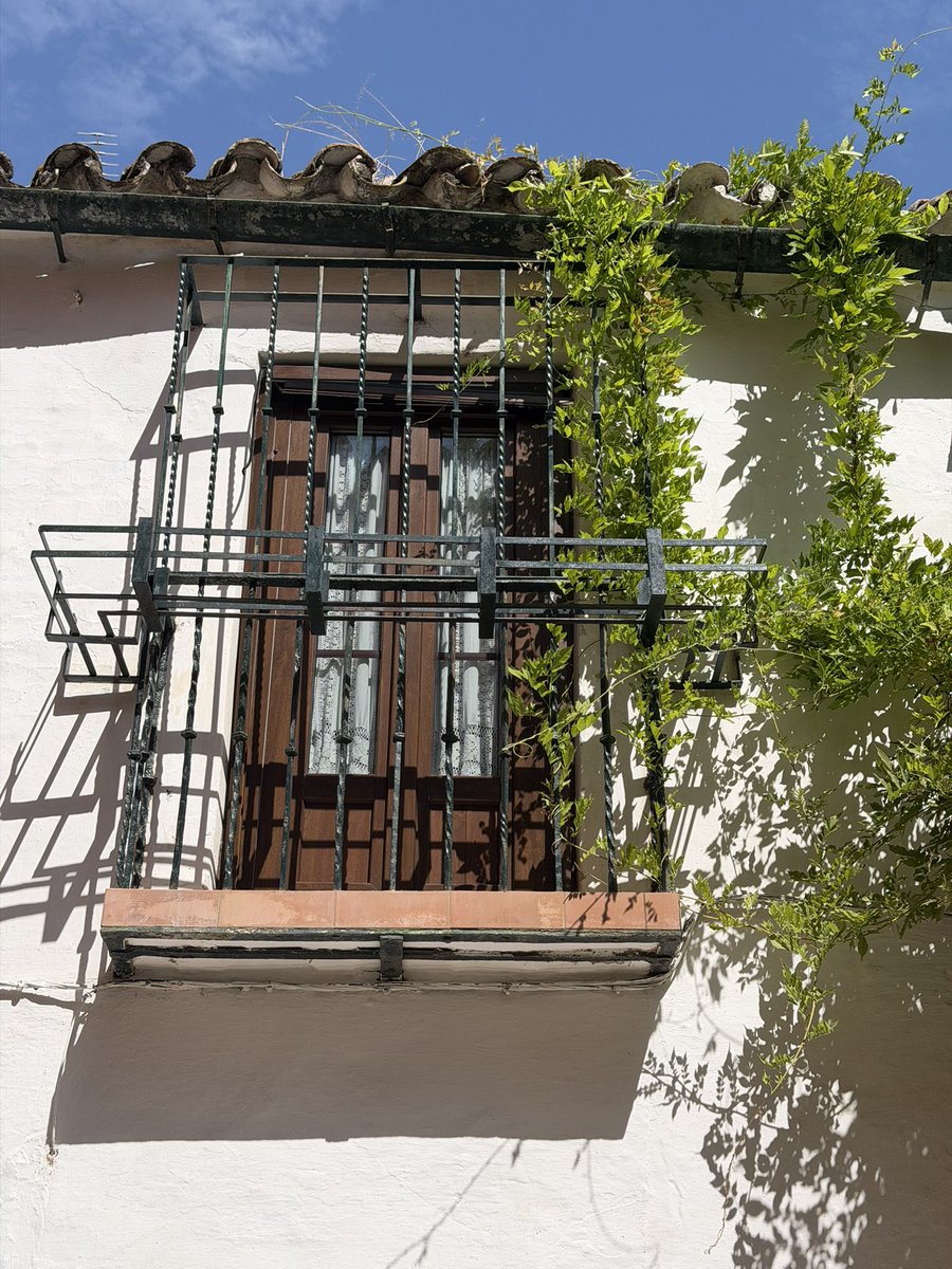 93maaria's tweet photo. Sevilla ✨ https://t.co/TOmlrjcYYI