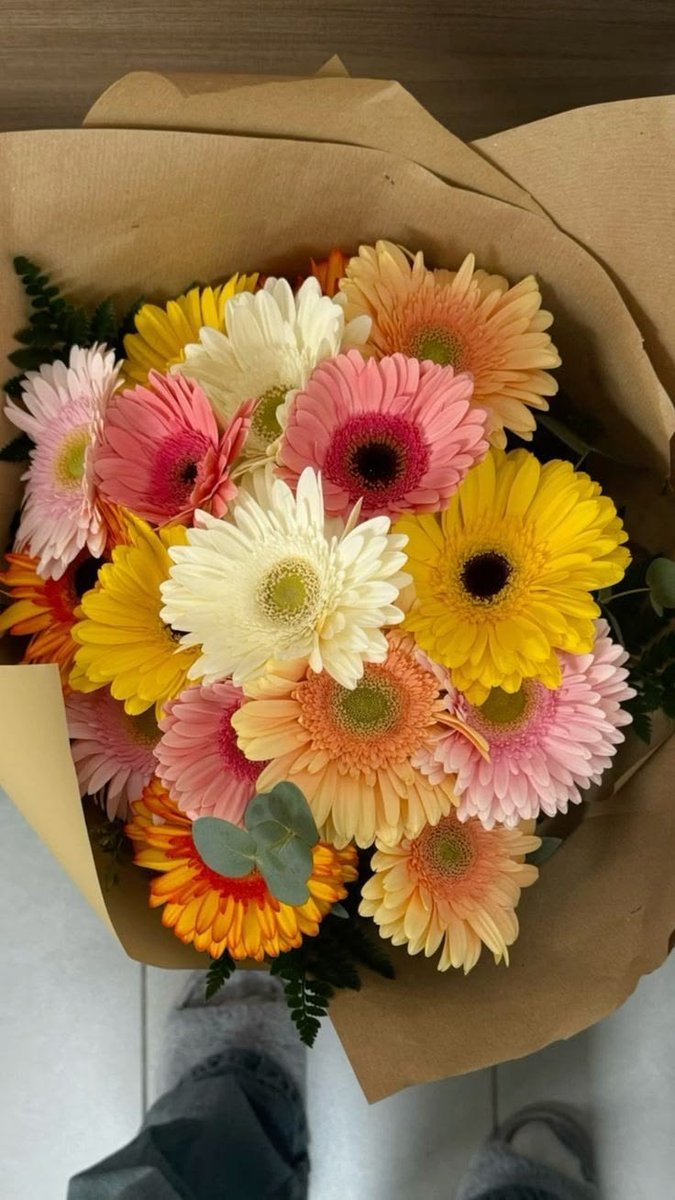 dreamyflowerrs's tweet photo. gerberas https://t.co/okOnMQ7a4N
