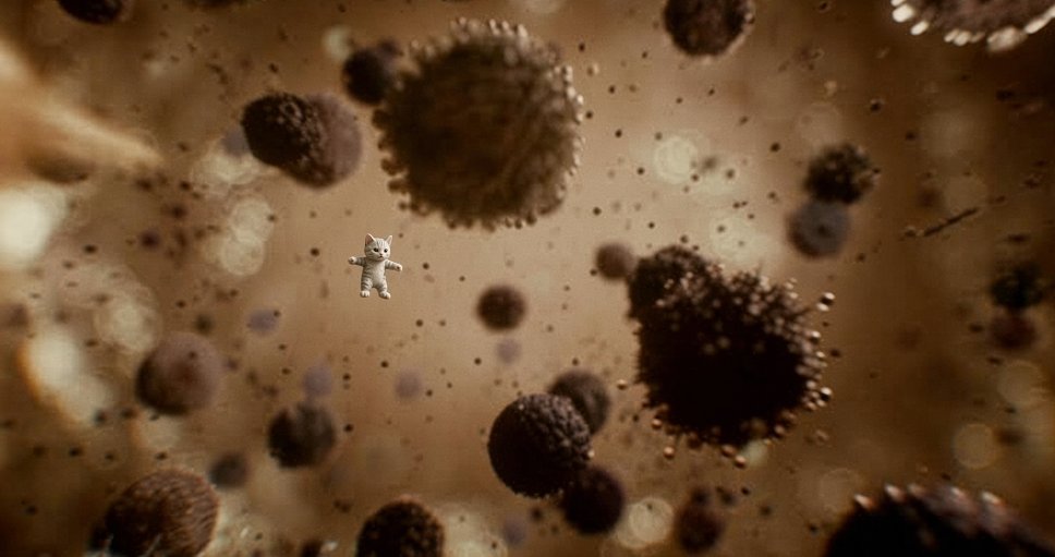 micat_mu's tweet photo. micro cat reported living rent-free in the dust mite dimension.

scientists are calling it peak evolution. 

the bacteria never stood a chance. https://t.co/LaA5C0lzFL