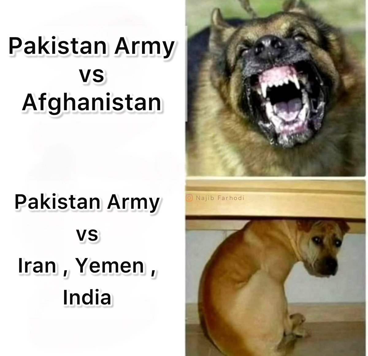 Najib_Farhodi's tweet photo. Truth ! https://t.co/l01qdJ2B5i