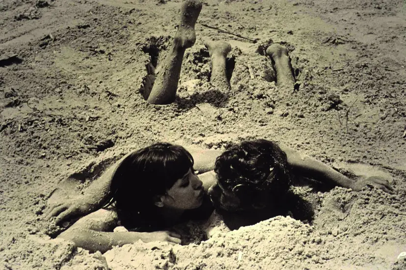 RuizVidal7's tweet photo. FIN
(Pierrot le Fou) https://t.co/TETtrL0fSy