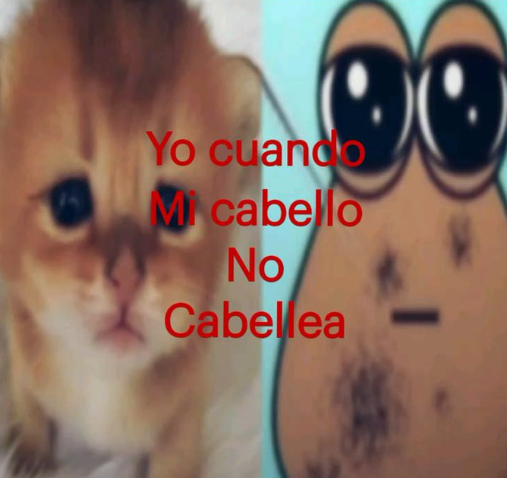 Martin8iz's tweet photo. jajajajajajaja https://t.co/zrpAKyUl3y