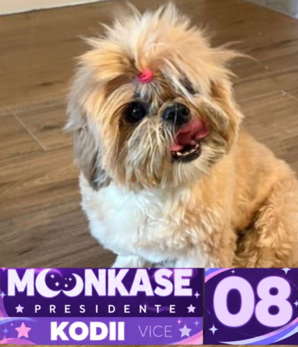 opss_galaxy02's tweet photo. EU E MAPLEZINHA SOMOS 08 

VOTE MOONKASE 08!!!!
#Moonsidenta https://t.co/FcrglD9Vmv