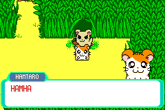 PokeFangameNews's tweet photo. Hamtaro: HamHam Battle is out NOW! 🐹

A proof-of-concept of crossing over the Hamtaro Gameboy games and Pokémon, using Hamchat in battle and the overworld. Go through a short adventure gathering the HamHams.

⏬ Check it out ⏬
https://t.co/h7h1fR5Jw8 https://t.co/g18lm2gvLB