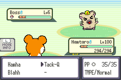PokeFangameNews's tweet photo. Hamtaro: HamHam Battle is out NOW! 🐹

A proof-of-concept of crossing over the Hamtaro Gameboy games and Pokémon, using Hamchat in battle and the overworld. Go through a short adventure gathering the HamHams.

⏬ Check it out ⏬
https://t.co/h7h1fR5Jw8 https://t.co/g18lm2gvLB