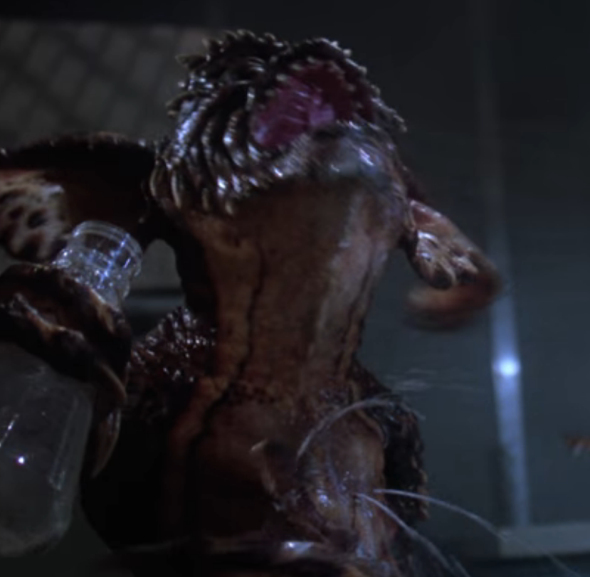 THE_Gremlins__'s tweet photo. "Ex.....Dead...?"

"..."

"EHEHEHEHHEHEHEEE!" https://t.co/qON89ajQnO