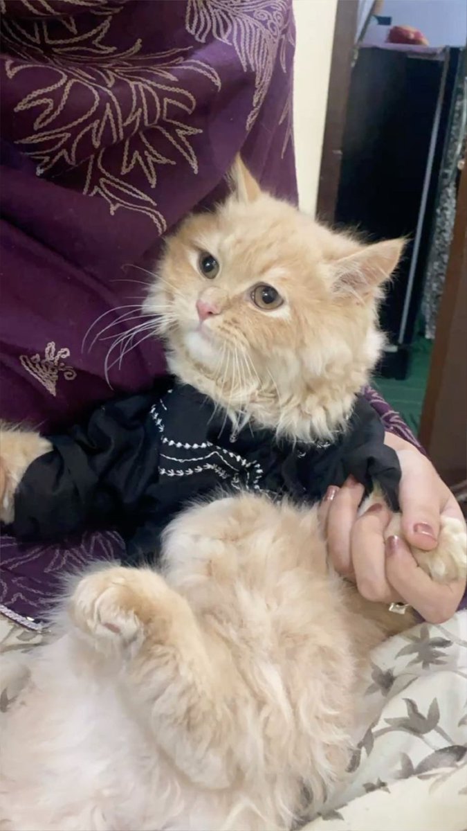 SobiaCh01's tweet photo. کون کون جاگ رہا ہے https://t.co/0nRhpQGG4L