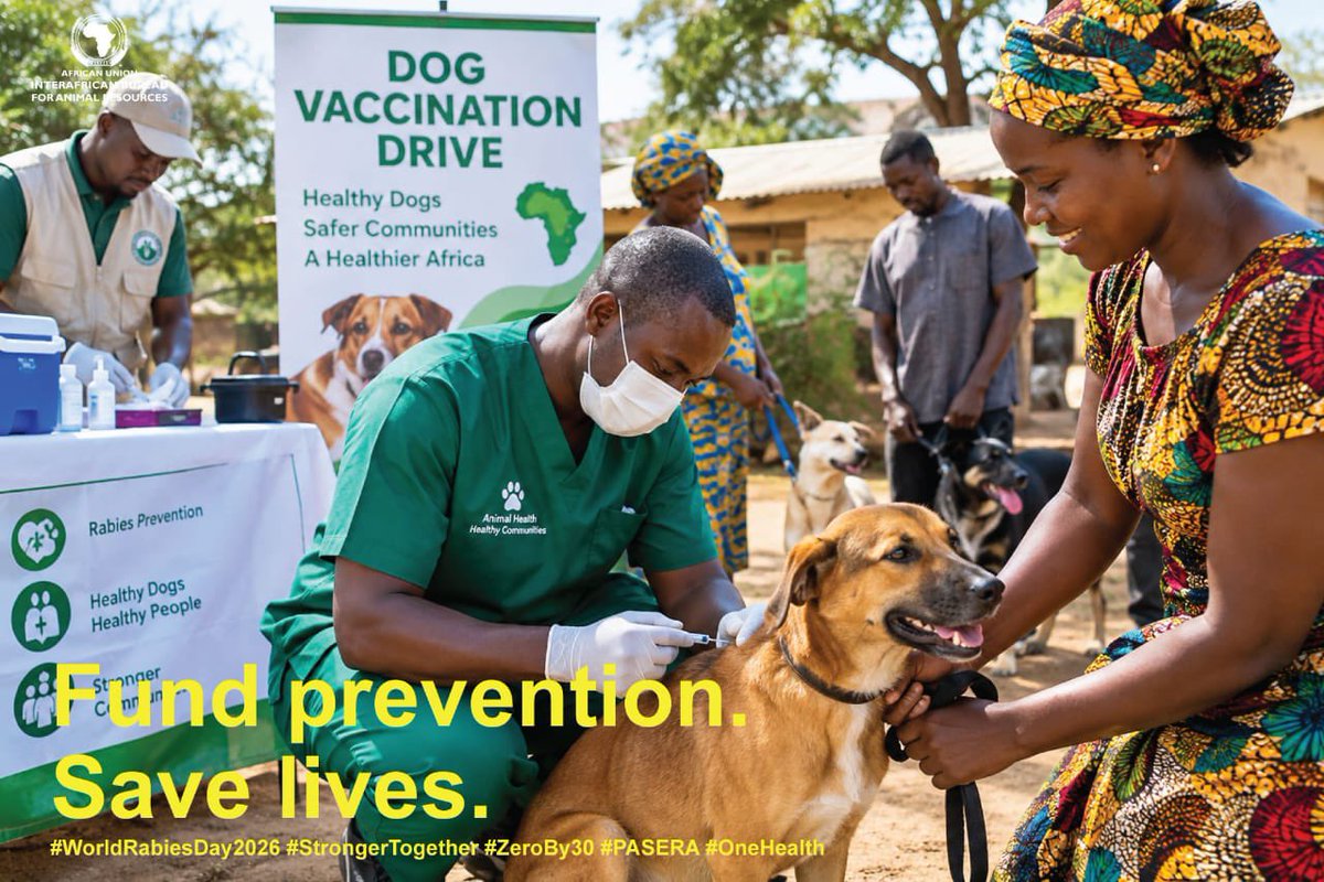 au_ibar's tweet photo. Rabies Elimination is an investment, not a cost. The Pan-African Strategy for the Elimination of Rabies (PASERA) calls for sustained financing and new partnerships to end rabies.

#WorldRabiesDay2026 #StrongerTogether #PASERA https://t.co/znHg4pGTaU